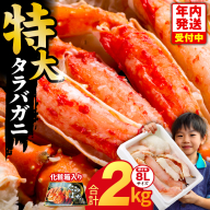 【年内発送】ボイルタラバガニ 2kg 特大 8Lサイズ【昆布仕立て 化粧箱入り 贈答 ギフト カニ かに 蟹 たらば蟹 タラバ蟹 タラバカニ 海鮮 魚介 家計応援】 G1871y