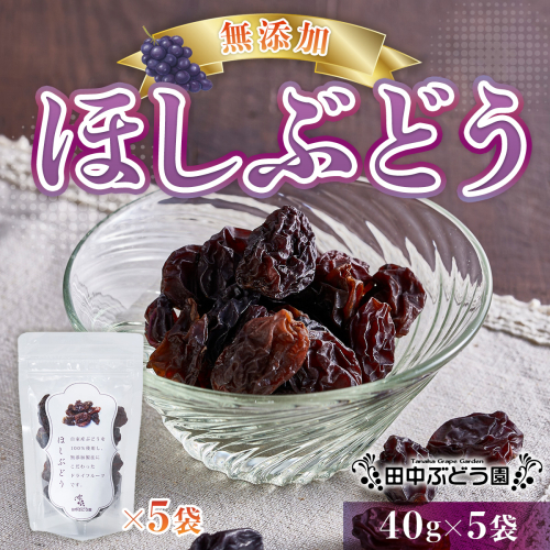 ほしぶどう 40g×5袋 国産 ドライフルーツ 無添加 複数品種 希少 レア 小分け 干し葡萄 干しぶどう 干しブドウ 無添加 保存食 備蓄食 常備食 食物繊維 鉄分 無添加 複数品種 希少 レア 小分け干し葡萄 ほしぶどう 無添加 防災食品 保存食 備蓄食 常備食 食物繊維 鉄分 ポリフェノール レーズン 製菓 製パン グラノーラ おやつ おつまみ 送料無料 2182068 - 大阪府河内長野市