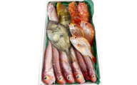 旬の鮮魚ＢＯＸお任せセット（梅）【鮮魚 約5kg 冷蔵 旬 魚 さかな 天然 天然魚 新鮮 地魚 産地直送 水揚げ次第発送 おまかせ セット 詰め合わせ お取り寄せ 大田市 和江漁港】