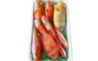 【12回定期便】大田市からお届け！旬のお魚セット【鮮魚 約5kg 定期便 12回 月1回 冷蔵 旬 魚 さかな 天然 天然魚 新鮮 地魚 産地直送 水揚げ次第発送 おまかせ セット 詰め合わせ お取り寄せ 大田市 和江漁港】