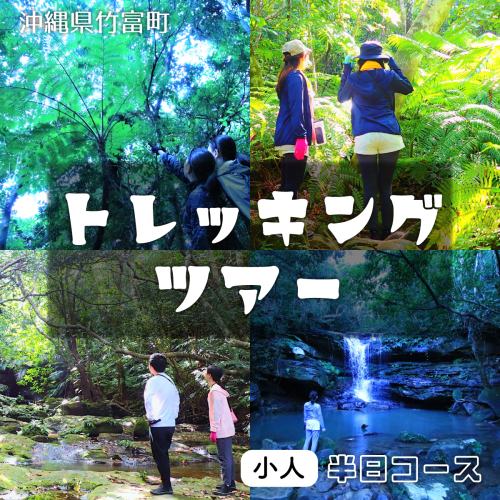 西表島 半日森林浴滝トレッキングツアー【体験可能期間:11月1日～4月30日】小人1名分 2182544 - 沖縄県竹富町