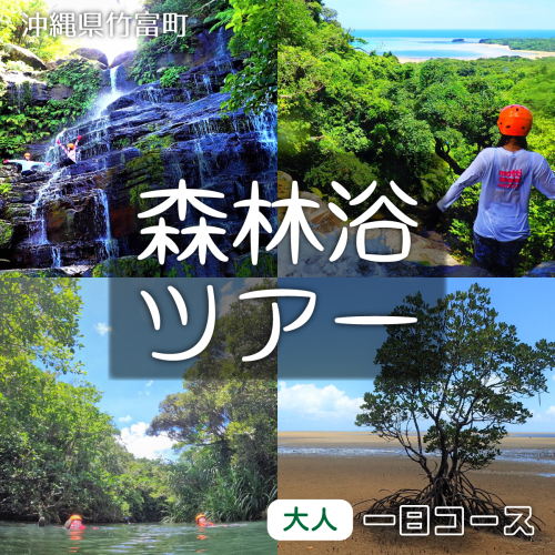 西表島 森林浴1日ツアー 大人1名分 2182582 - 沖縄県竹富町