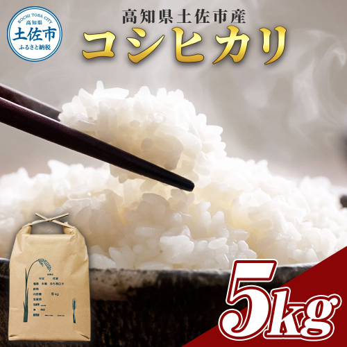 コシヒカリ 5kg 5キロ 精米 白米 お米 ご飯 ごはん 米 kome こめ こしひかり 高知県産 国産 お取り寄せ 常温 高知県 高知 土佐市 2182705 - 高知県土佐市