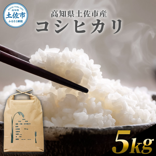 コシヒカリ 5kg 5キロ 精米 白米 お米 ご飯 ごはん 米 kome こめ こしひかり 高知県産 国産 お取り寄せ 常温 高知県 高知 土佐市 2182705 - 高知県土佐市