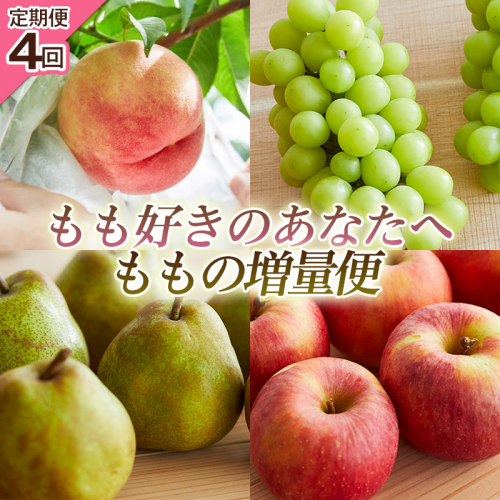 【定期便4回】もも好きのあなたへ ももの増量便 FY25-220 2182744 - 山形県山形市