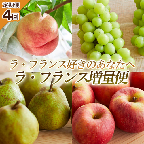 【定期便4回】ラ・フランス好きのあなたへ ラ・フランス増量便 FY25-222 2182746 - 山形県山形市
