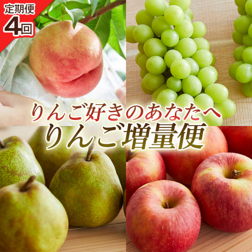【定期便4回】りんご好きのあなたへ りんご増量便 FY25-221 2182747 - 山形県山形市
