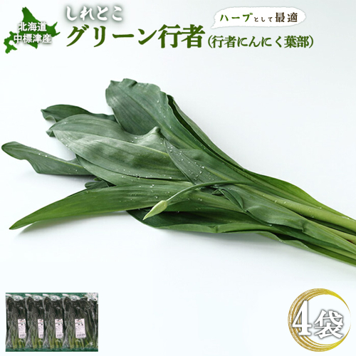 【ハーブとして最適】行者にんにくグリーン行者×4袋 (葉部)【20020】 2182754 - 北海道中標津町