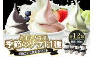 【2025年9月配送】とよとみ牛乳ソフトクリーム【季節のミックス1種類 120ml×12個】