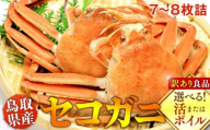 922.【活】鳥取県産セコガニ　訳あり　良品7~8枚詰《かに カニ 蟹 セコガニ》※2025/11/6～2025/12/25に順次発送予定※着日指定不可  離島不可（北海道、沖縄本島は配送可能）