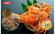 923.【ボイル】鳥取県産　訳あり　良品セコガニ　お試しパック　約500ｇ（2～4枚）《かに カニ 蟹 セコガニ》※2025/11/6～2025/12/29に順次発送予定※着日指定不可  離島不可（北海道、沖縄本島は配送可能）