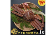 691.【早期受付】【活】タグ付き松葉ガニ　中1枚（700g前後）《かに カニ 蟹 ズワイガニ 》※着日指定不可※2025年11月上旬頃から順次発送予定
