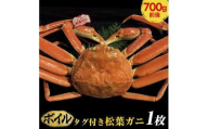 691.【早期受付】【ボイル】タグ付き松葉ガニ　中1枚（700g前後）《かに カニ 蟹 ズワイガニ 》※着日指定不可※2025年11月上旬頃から順次発送予定