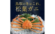 695.【早期受付】【活】訳あり　松葉ガニおまかせ3kg（5～8枚）《かに カニ 蟹 ズワイガニ》※着日指定不可※2025年11月上旬頃から順次発送予定