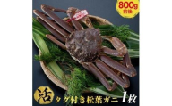 690.【早期受付】【活】タグ付き松葉ガニ　大1枚（800g前後）《かに カニ 蟹 ズワイガニ》※着日指定不可※2025年11月上旬頃から順次発送予定