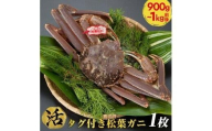 689.【早期受付】【活】タグ付き松葉ガニ　特大1枚（900g～1kg前後）《かに カニ 蟹》※着日指定不可※2025年11月上旬頃から順次発送予定
