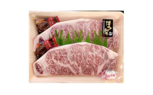 A4ランク以上 博多和牛サーロイン ステーキ 約250g×2枚【1368316】 2183430 - 福岡県大牟田市