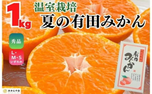 【お中元】ハウスみかん 温室栽培 夏の有田みかん 約1kg 秀品 S・M・Lサイズのいずれか 和歌山県 産地直送 みかんの会 【7月上旬～8月上旬に順次発送】 2184064 - 和歌山県有田川町