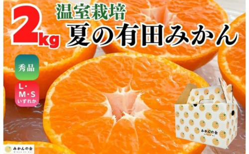 【お中元】ハウスみかん 温室栽培 夏の有田みかん 約2kg 秀品 S・M・Lサイズのいずれか  和歌山県 産地直送 みかんの会 【7月上旬～8月上旬に順次発送】 2184065 - 和歌山県有田川町