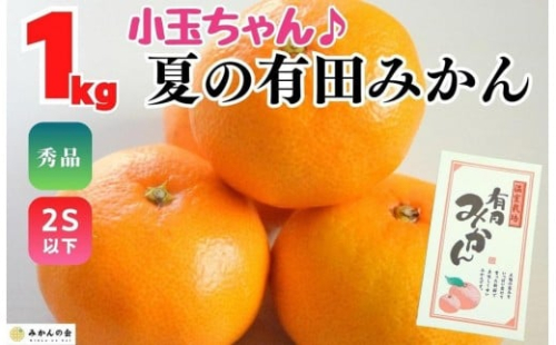 【お中元】小玉ちゃん ハウスみかん 温室栽培 夏の有田みかん 約1kg 秀品 2Sサイズ以下 和歌山県 産地直送 みかんの会 【7月上旬～8月上旬に順次発送】 2184066 - 和歌山県有田川町