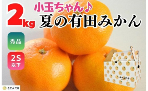 【お中元】小玉ちゃん ハウスみかん 温室栽培 夏の有田みかん約2kg 秀品 2Sサイズ以下 和歌山県 産地直送 みかんの会 【7月上旬～8月上旬に順次発送】 2184067 - 和歌山県有田川町