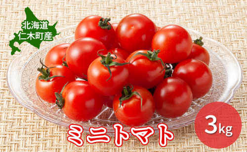 【先行受付】北海道 仁木町産 ミニトマト 3kg　小林農園 [ トマト 北海道産 野菜 新鮮 ] 2184086 - 北海道仁木町