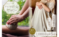ハーブボール セラピー 割引チケット 5,000円分 1枚 [和のか 長野県 池田町 48110810] リラクゼーション よもぎ蒸し 植物療法