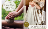 ハーブボール セラピー 割引チケット 3,000円分1枚 [和のか 長野県 池田町 48110809] リラクゼーション よもぎ蒸し 植物療法