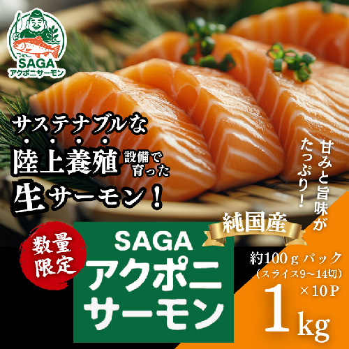 佐賀から未来へ！SAGAアクポニサーモン 1kg（100g×10P）：B400-007 2184334 - 佐賀県佐賀市