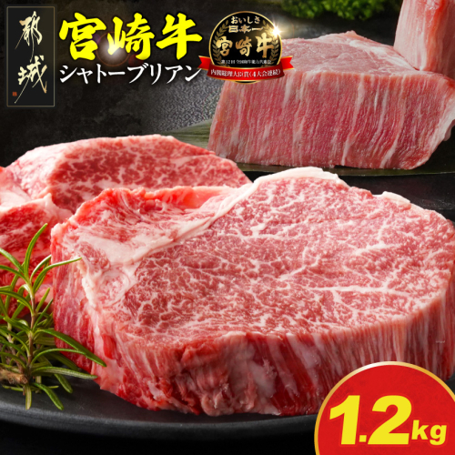 宮崎牛シャトーブリアンステーキ150g×8枚_AP-N2-009-1200g 牛肉 宮崎牛 焼肉 BBQ 冷凍 都城市 2184364 - 宮崎県都城市