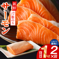 サーモン 定期便 1kg×全2回【ポーション 訳あり サイズ不揃い 刺身 海鮮丼 さーもん サラダ カルパッチョ 鮭 さけ シャケ しゃけ 人気 小分け 冷凍 家計応援】 099Z345