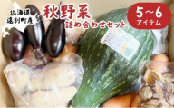 【2025年9⽉末〜順次発送予定】秋野菜詰め合わせセット 野菜 ナス 玉ねぎ カボチャ じゃがいも メークイン ニンニク にんじん 北海道 遠別町