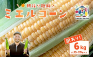 [ 訳あり ][先行予約]下妻産 朝採りとうもろこし ( ミエルコーン ) 約6kg [ とうもろこし とうきび トウモロコシ ジューシー 甘い 蜂蜜 はちみつ ミエル Miel スイーツ デザート ミエルコーン 人気 野菜 新鮮 おすすめ スイートコーン ][SZR]