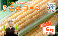 【訳あり】下妻産朝採りとうもろこし（ミエルコーン）約6kg【とうもろこし とうきび トウモロコシ ジューシー 甘い 蜂蜜 はちみつ ミエル Miel スイーツ デザート ミエルコーン 人気 野菜 新鮮 おすすめ スイートコーン】[SZR]