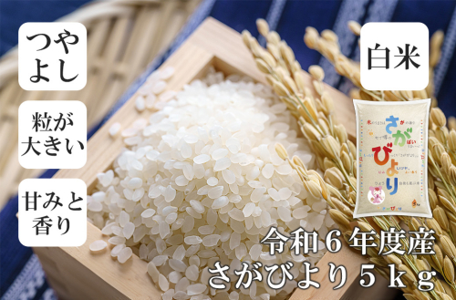FE043_令和6年産さがびより5kg 2184402 - 佐賀県みやき町