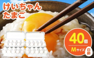 けいちゃんたまご　白　Mサイズ　40個 C00407