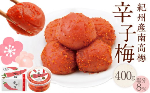 紀州産南高梅 梅干し 辛子梅 400g 塩分8% 中田食品 梅干 和歌山 2184510 - 和歌山県上富田町