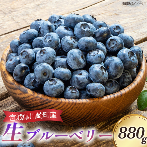 びいなすふぁあむ 生ブルーベリー 220g×4パック/計880g 【04324-0345】 2184733 - 宮城県川崎町