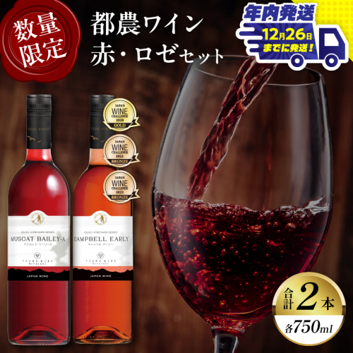 ＼年内発送!!／都農ワイン赤・ロゼ(辛口・甘口)2本セット 酒 飲料 アルコール 国産_T014-035-N 2184825 - 宮崎県都農町