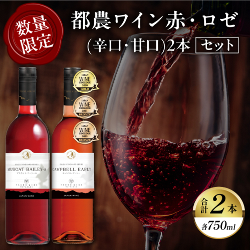 都農ワイン赤・ロゼ(辛口・甘口)2本セット 酒 飲料 アルコール 国産_T014-035 2184825 - 宮崎県都農町