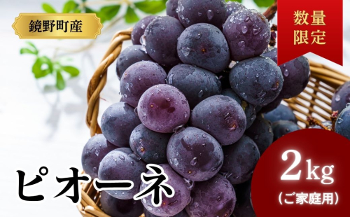 【期間限定】鏡野町産 ピオーネ 2kg（ご家庭用）【004-a029】 2184826 - 岡山県鏡野町