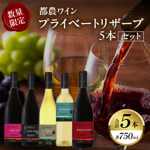 【期間・数量限定】プライベートリザーブ5本セット 酒 飲料 アルコール 国産_T014-037 2184831 - 宮崎県都農町