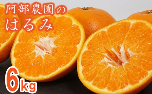 阿部農園の「はるみ 約6kg」 みかん 柑橘類 はるみ 先行予約 数量限定 フルーツ ＜112-008_5＞