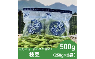採れたて新鮮！！高山村の名産枝豆　５００ｇ