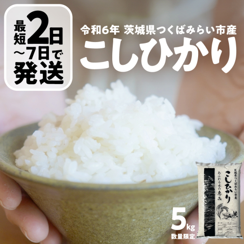 ＼ 最短 2日で発送 ／ コシヒカリ 5kg 令和6年産精米【 数量限定 】茨城県つくばみらい市産 米 コメ 単一米 12000 茨城県産 国産 即納 スピード配送 すぐ届く 発送 早い 即発送 コスパ こしひかり [CL03-NT] 2185045 - 茨城県つくばみらい市