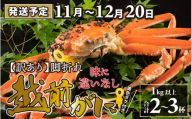 【先行予約】【訳あり】越前がに 2～3杯 （合計1kg以上） 脚折れ【11月～12月20日発送予定】 ズワイガニ ずわいがに ズワイ蟹 越前ガニ 訳あり 脚折れ 味に違いなし ボイル 刺身 蟹 鍋 しゃぶしゃぶ 冷蔵  カニ 鍋 冬 海鮮 かに 国産 南越前町 福井県　送料無料