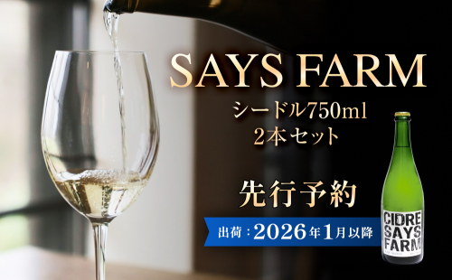 ＜先行予約＞SAYS FARM シードル 750×2本セット 富山県 氷見市 シードル 酒 りんご酒 2185141 - 富山県氷見市