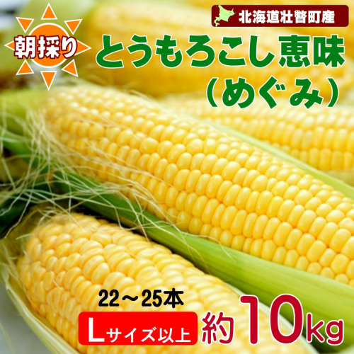 ＜2025年8月下旬よりお届け＞【朝採り】北海道壮瞥町産　とうもろこし恵味（めぐみ）Lサイズ以上約10kg（22～25本） SBTL013 2185338 - 北海道壮瞥町
