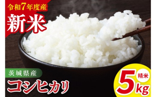 茨城県産コシヒカリ　精米　5kg｜精米 定期便 お米 米 こめ コメ ごはん 白米 阿見町 茨城県 茨城県産 茨城県産米 安心 安全 送料無料 国産 人気 数量限定 高評価（85-11） 2185344 - 茨城県阿見町