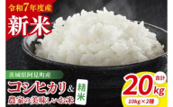 【10月中旬から発送】【先行予約】【令和7年産新米】阿見町産　精米　食べ比べ　（コシヒカリ　美味しいお米）　各10kg（5kg×2）【お米 米 こしひかり ごはん 食べ比べ 茨城県】（85-66）